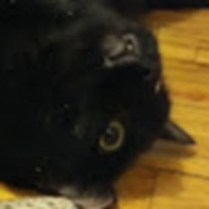 Meet your Posher, Savannah